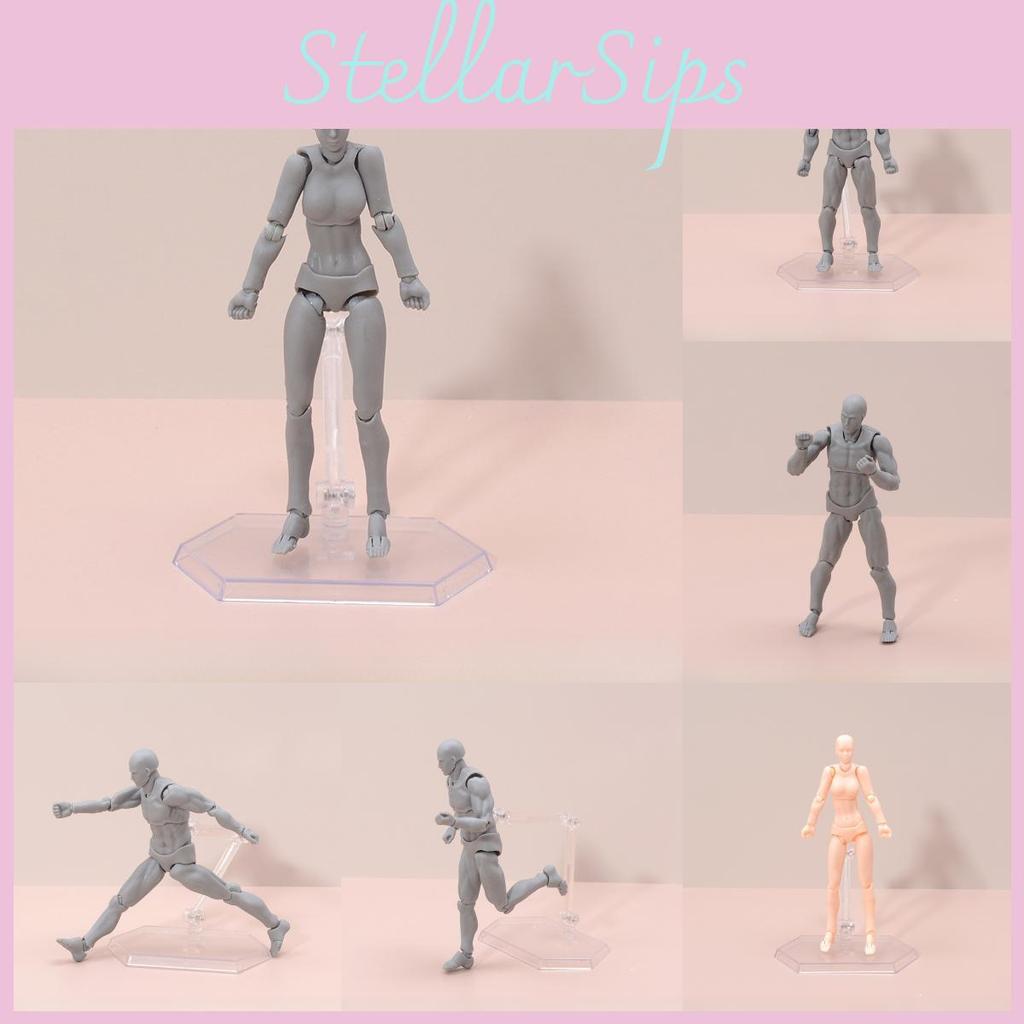 Figma Body Drawing Tool Male Female Action Figure Pvc Model For Artists And Collectors