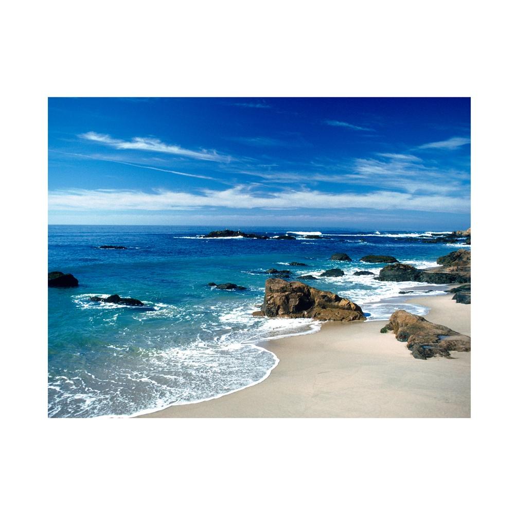 Ropical Beach Backdrop Banner,Wall Decor for Summer Parties,Events,Photo Shoot Backdrop,Beach Theme Decor,Weddings