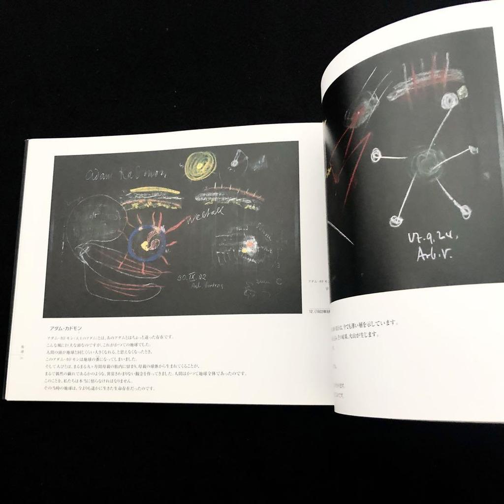 [USED] "Rudolf Steiner: Blackboard Drawings Left Behind" by Iwao Takahashi, 1996, First Edition