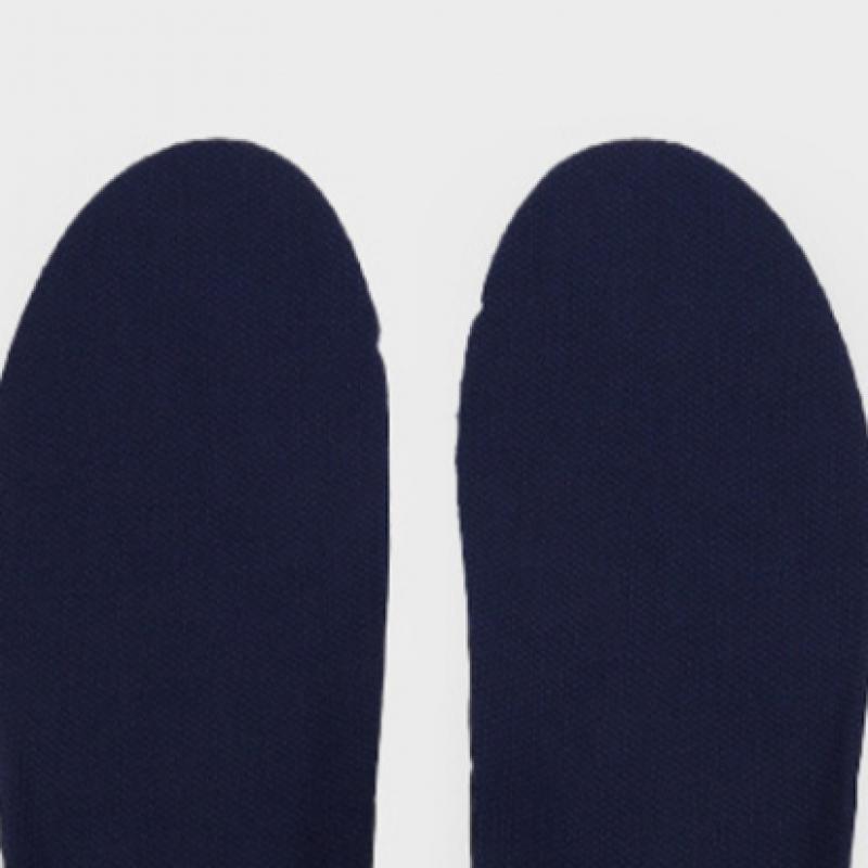 Daiso Antimicrobial Treatment Insole 220 To 250 Mm