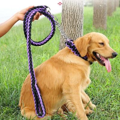 Câini – Curele și lese pentru câini