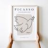 Plakat Pablo Picasso Taube
