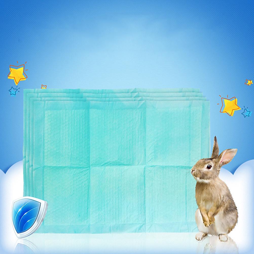 10Pcs Super Absorbent Pet Training Pads Puppy Pee Pads for Indoor Dogs Elderly Canine Cage Car Hotel Clean Dry Surface Odor