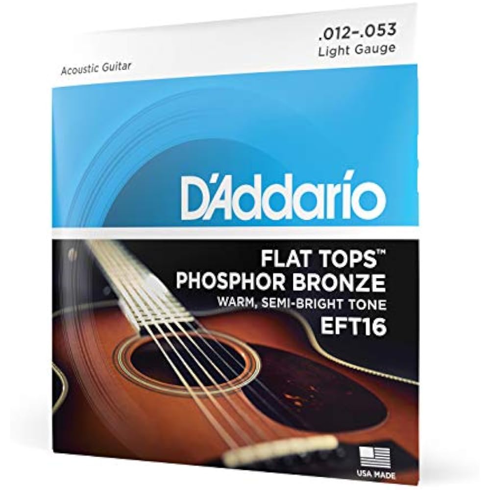 D Addario Daddario Acoustic Guitar Strings Flat Tops Phosphor Bronze Regular Light .012-.053 EFT1...
