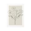 Boho Botanical Flower Line Beige Posters Wall Art Canvas Painting Minimal Floral Print Pictures Neutral Living Room Home Decor