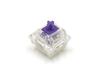 FILCO CHERRY MX2A RGB 5-Pin Switches, Purple, Pack of 70, for Clear Case RGB Keyboards (FKSW70CH/MPU-RZ)