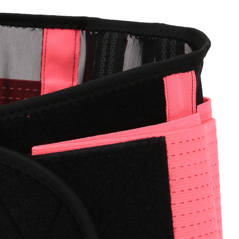 Breathable Mesh Support Exercise Belt Fitness Waist Training Gym for Both Men and Women