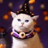 Halloweenský klobouk dýně pro mazlíčky a obojek duchů, nastavitelný gotický outfit pro kočky a malé psy, pletené kostýmní doplňky