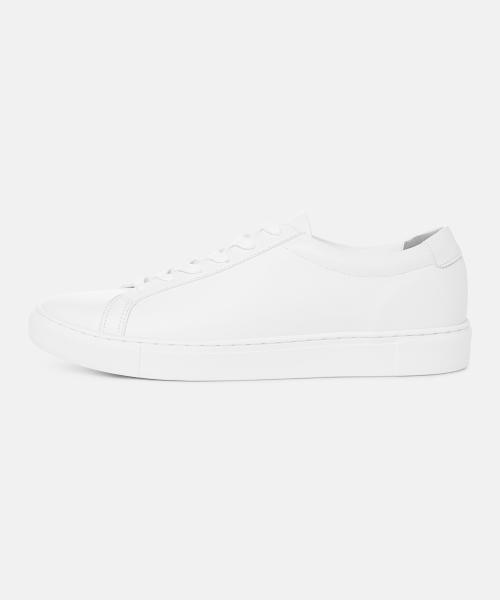 [CLAYONG] 5cm Modern Unisex Sneakers Essential CL0032