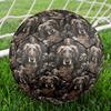 Afghan Hound Indoor Soccer Ball Size 5 Colorful All Ages Machine Stitched PVC Competition Ready Durable High-Bounce
