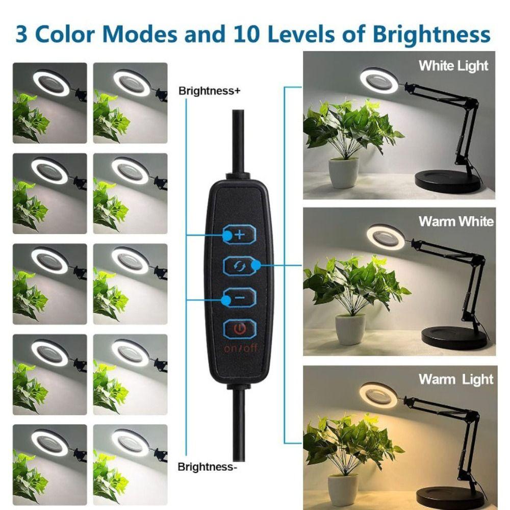 10 Brightness Levels Desk Lamp Adjustable Folding Arm Lamp Magnifying Glass Light  Office Use
