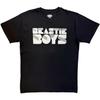The Beastie Boys - Stripes Logo Mono - Schwarzes T-Shirt