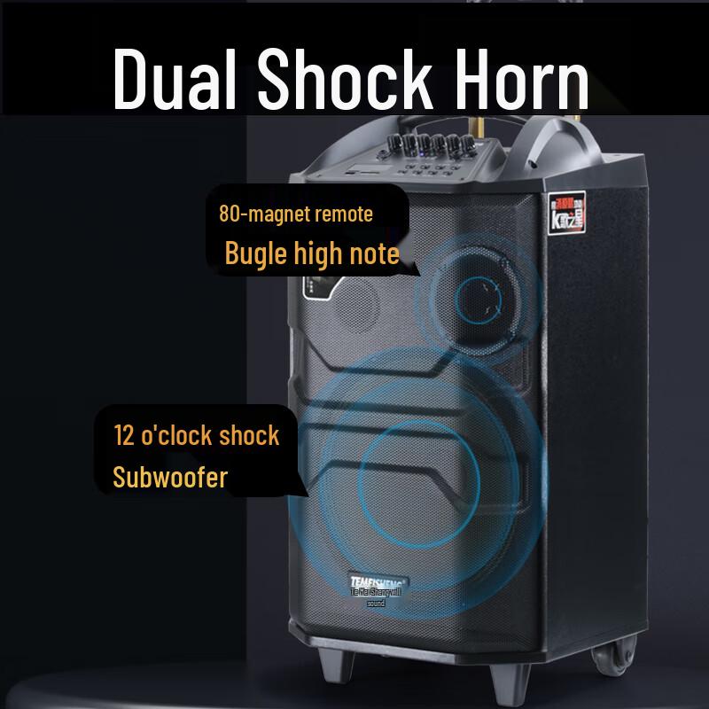 Temi QX-1229 Portable Trolley Speaker