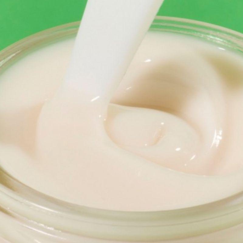 Innisfree Grüntee-Samen-Hyaluronsäure-Creme 50 ml