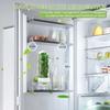Herb Keeper for Refrigerator Keep Herbs Fresh Longer Premium Herb Saver Versatile Container for Cilantro Parsley Basil Mint