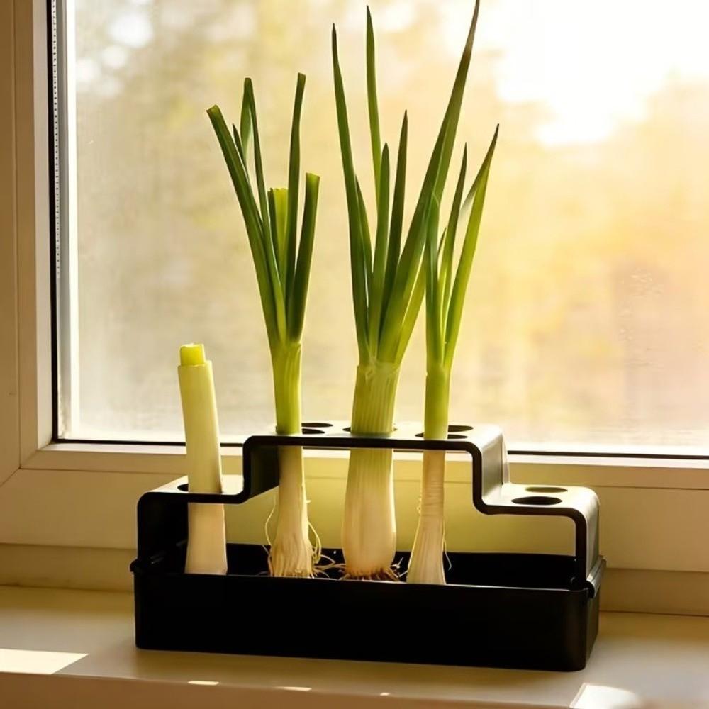 Ventilated Cultivation Pot Plastic Soilless Cultivation Pot  Coriander Planting