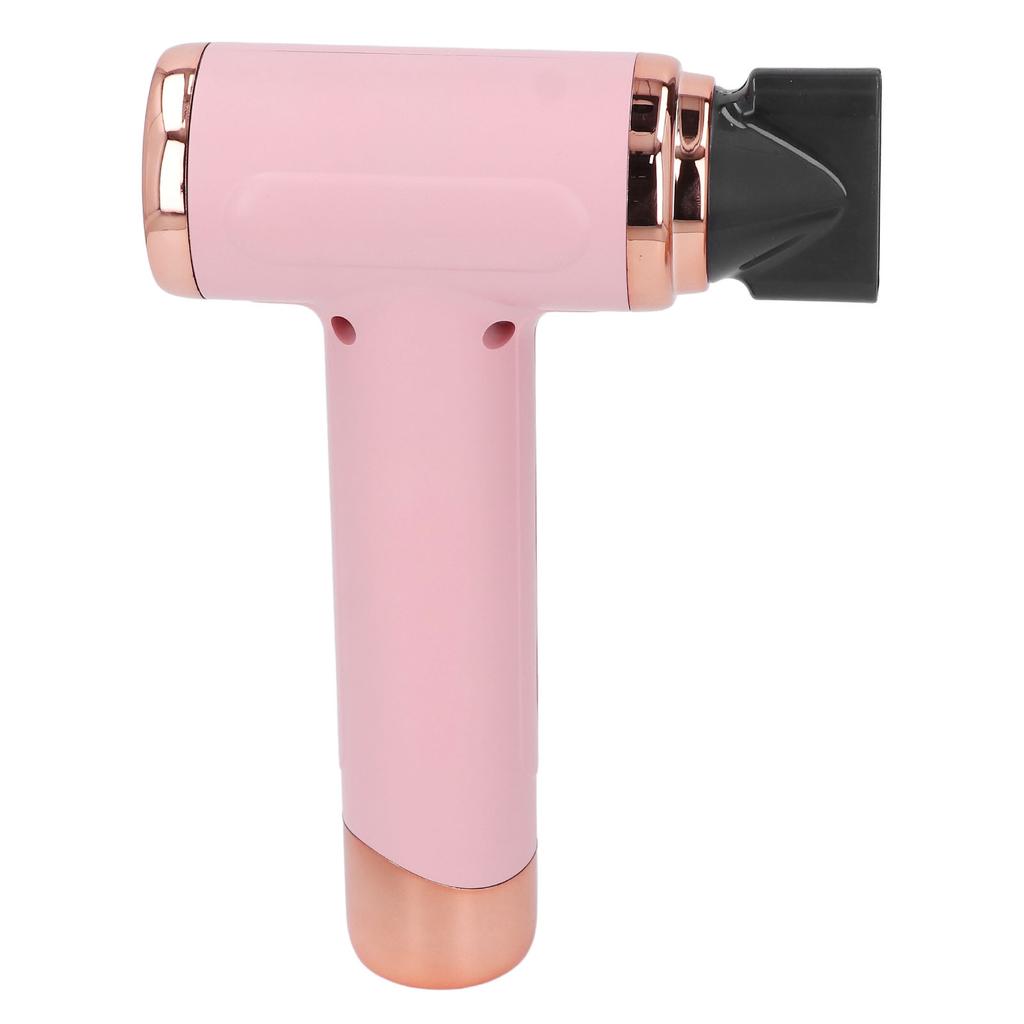 Hair Blow Dryer Wet and Dry Use 200W Powerful Hair Dryer Portable Multifunctional Pet Blow Dryer for Travel