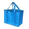 Sac fourre-tout isotherme de 35 L, grande capacité, avec fermeture éclair et large sangle, idéal pour la plage, la pêche et la randonnée.