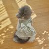 Vente chaude vêtements pour chien et chat printemps et été coton pur jupe en dentelle Malzis tenue pour petit chien