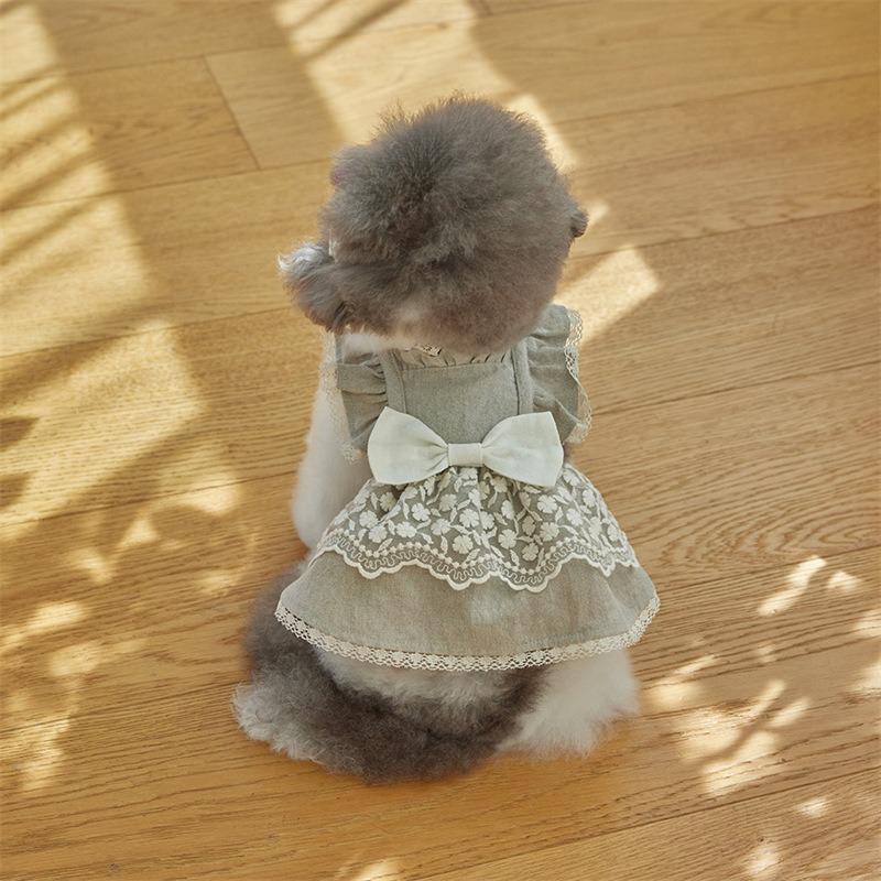 Vente chaude vêtements pour chien et chat printemps et été coton pur jupe en dentelle Malzis tenue pour petit chien