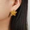 Wind Fashion Versatile Star Texture Earrings Temperament Light Luxury Wind Titanium Steel Plated 18K Gold Non-Fading Stud Earrings Women