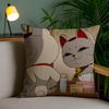 D-Dan Da D-Dan Lucky Cat Cushion Cover Soft Short Plush Double-Sided Printing Home Decor Machine Washable Pillow Case Gift