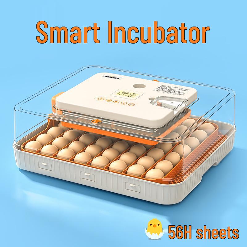 Smart Mini Egg Incubator for Parrots and Budgies: Automatic Pet Hatchery Equipment