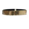 Meier Women's Metallic Fish Scale Iron Plate Waist Belt - Unique Decorative Versatile Elastic Waistband