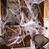 Pack Of 10 Realistic Plastic Halloween Spider Decorations Halloween Party Supplies For Home Office Party Scary Props
