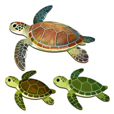 3 יחידות/סט קישוט קיר צב ים מעץ אמנות קיר צב בסגנון חווה כפרי