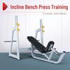 Preacher Curl & Roman Chair Fitness Bench