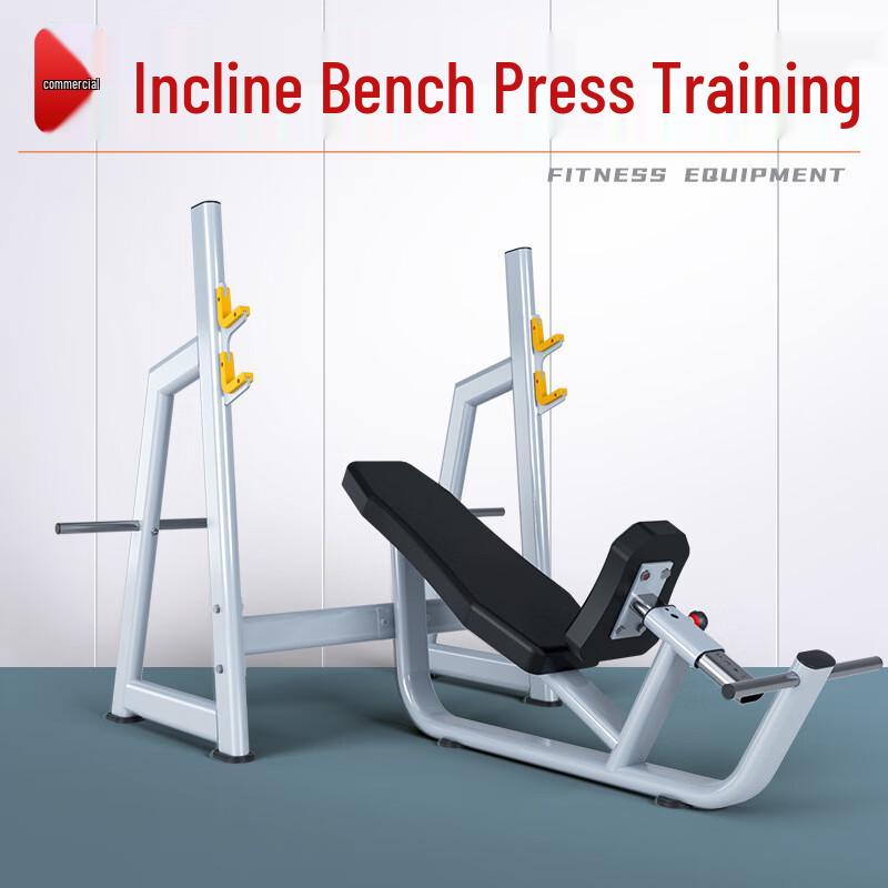 Preacher Curl & Roman Chair Fitness Bench