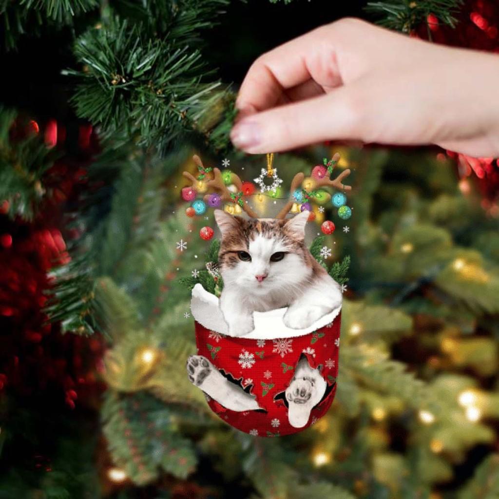 Whimsical Cat Christmas Socks Tree Hangings Brighten Up Your Decor Holiday
