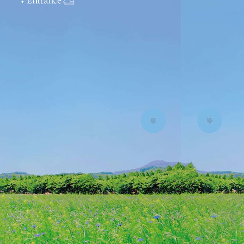 

Seo Eun Kwang - 1st Mini Album: FoRest: Entrance [Silver ver.]