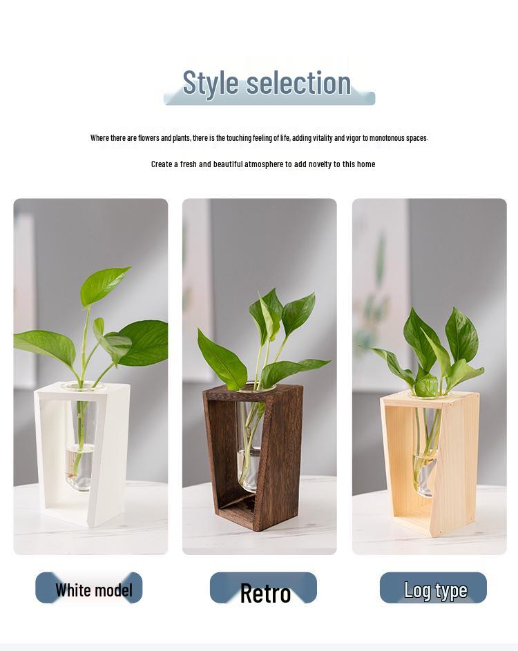 Retro Wooden Hydroponic Vase: Fresh Living Room Desktop Ornament for Chlorophytum.