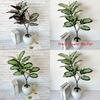 Ochrosia Maculata Jacq Tree Artificial Green Plant For Photography Props And Home Accent