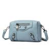 Borsa da donna nuova borsa a tracolla di alta gamma borsa popolare da donna borsa per madre di mezza età di grande capacità