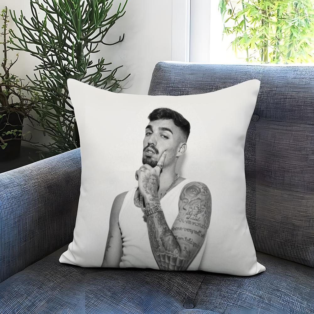 Singer D-Daniel A-Avery Kissenbezug Bequem Wendbarer Kissenbezug Ideal für Auto Sofa Schlafzimmer & Mehr