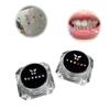 10 Piezas Strass Para Cuidado Dental Fresas Material Dental Blanqueamiento Dental Dentadura Acrílico Cristal Adorno Higiene Bucal Diente