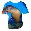 3D Seal Marine Animal Print Kids Crew Neck Short Sleeve Tee Loose Fit Outdoor Play Daily Leisure Outfit