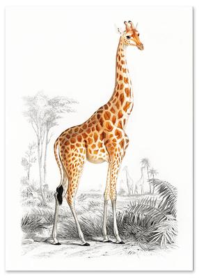 Poster Giraffe Illustration