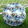 1pc Swans Garden Durable Size 5 Soccer Ball Professional Match Training Football Indoor &Outdoor Sports Ball p60118