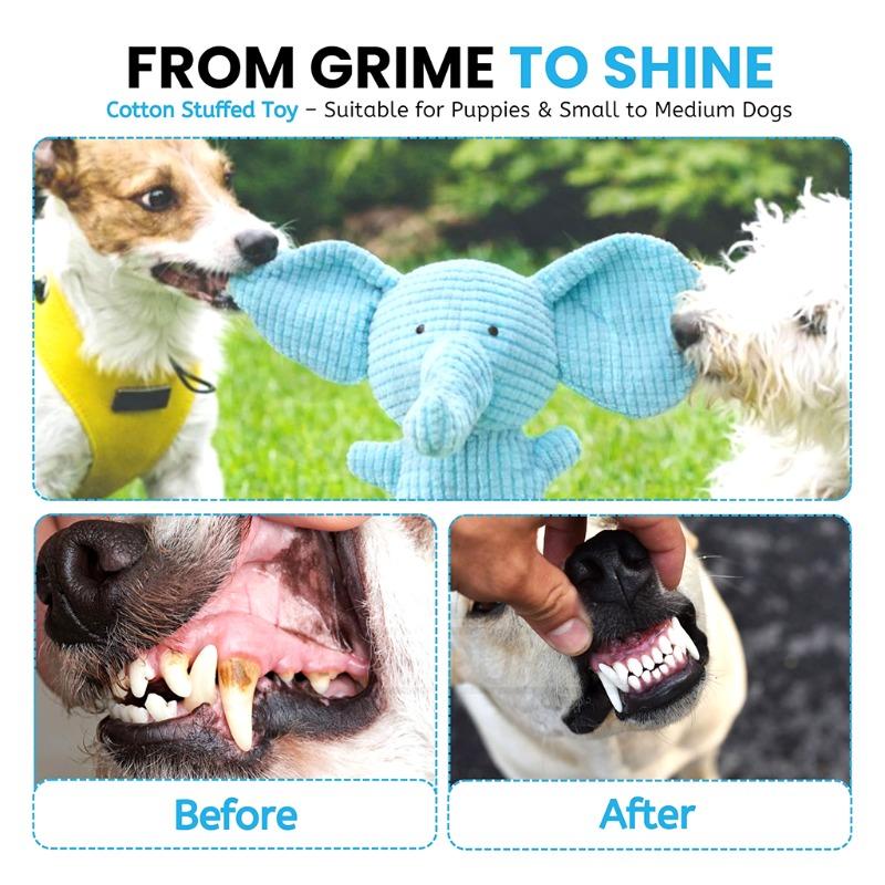 Cute Interactive Plush Toy Ultra Fine Fiber Ball Squeaks Safe and Bite Resistant Suitable for Small and Medium-sized Dogs To Accompany Grinding Toys