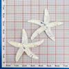 Gradient Starfish Resin DIY Accessories for Hair Clips, Phone Cases, Crocs & Shoelaces.