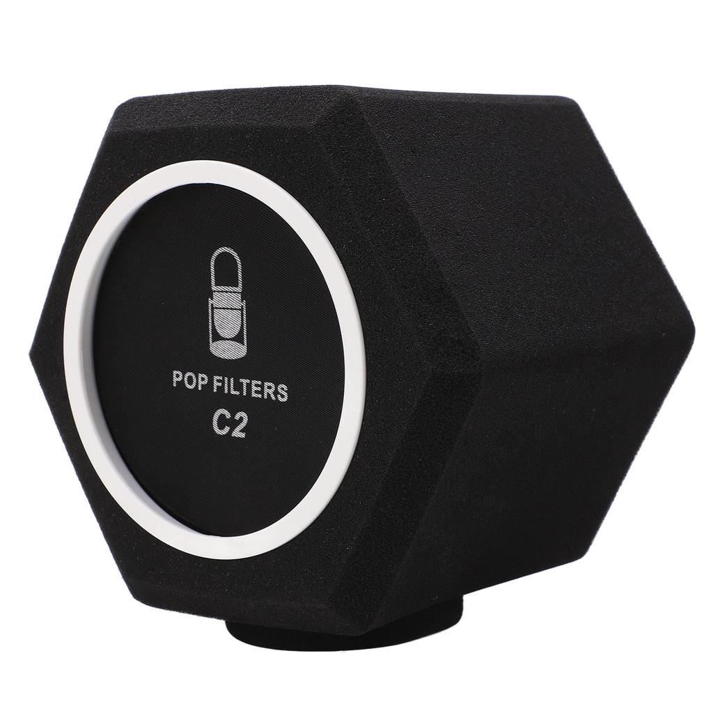 C2 Microphone Sponge Cover High Density Microphone Windscreen Professional Microphone Recording Isolation Booth