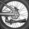Electric Bicycle Fafrees F20 Ultra 20" Fat Tire 750W Motor Dual Hydraulic Brake 48V 25AH All Terrain Adult Electric Bike 7 Speed