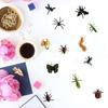 12 Pieces Of Quirky Insect Refrigerator Stickers With Magnets And Soft Rubber Refrigerator Stickers For Computers And Refrigerator Decorations