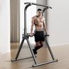 Tiemuyun Freestanding Pull-up Station