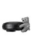 Odyssey Putter Headcover BEAR MLT BLK 26 Type Putter Black Ladies (Mallet Cover)