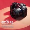 Canon EOS R8 Full-Frame Mirrorless Camera (CN version)